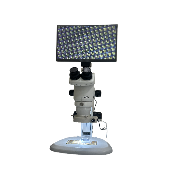 NIKON 一體成型.png