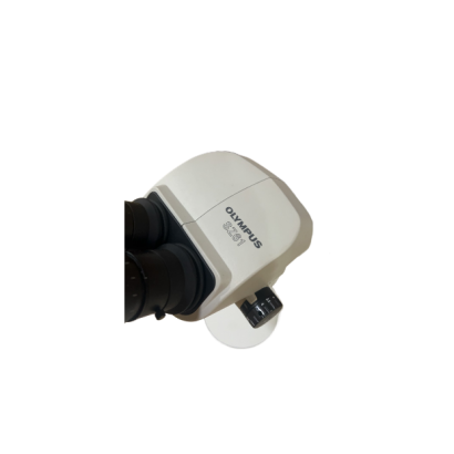 SZ61.png